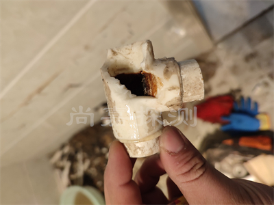 沙湖原种场自来水管道漏水检测