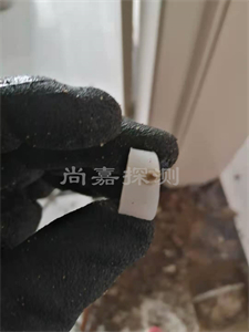 沙湖原种场暖气管道漏水检测