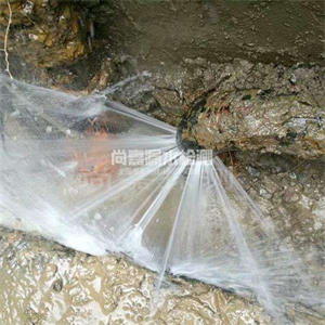 沙湖原种场消防管道漏水检测